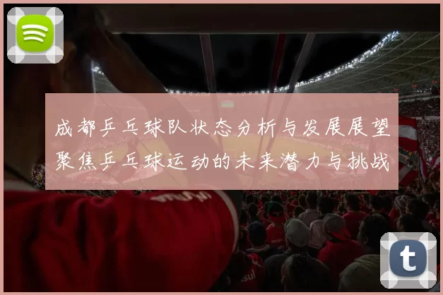 成都乒乓球队状态分析与发展展望聚焦乒乓球运动的未来潜力与挑战