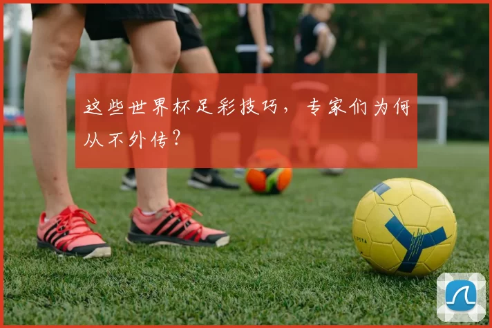 这些世界杯足彩技巧，专家们为何从不外传？