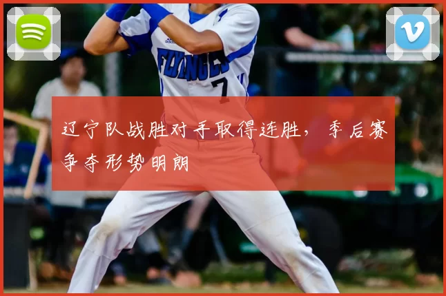 辽宁队战胜对手取得连胜,季后赛争夺形势明朗