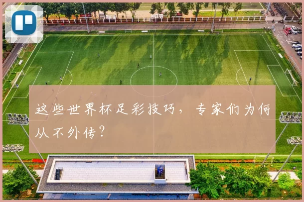 这些世界杯足彩技巧,专家们为何从不外传?