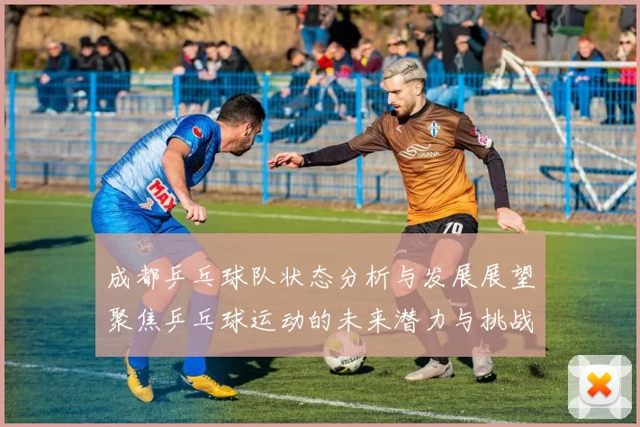 成都乒乓球队状态分析与发展展望聚焦乒乓球运动的未来潜力与挑战