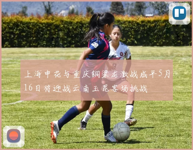上海申花与重庆铜梁龙激战成平5月16日将迎战云南玉昆客场挑战