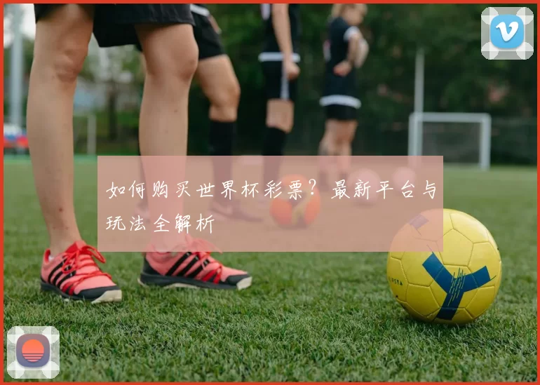 如何购买世界杯彩票?最新平台与玩法全解析